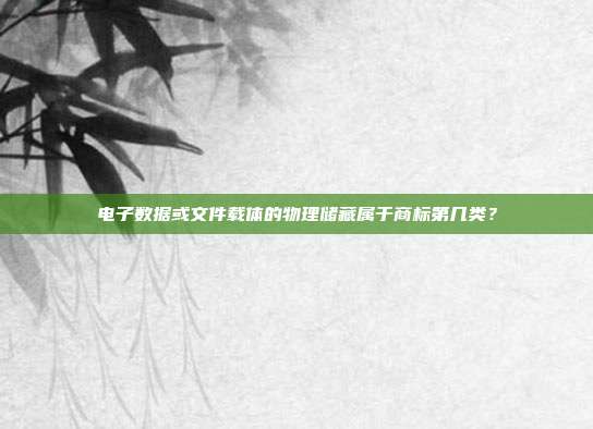 电子数据或文件载体的物理储藏属于商标第几类?
