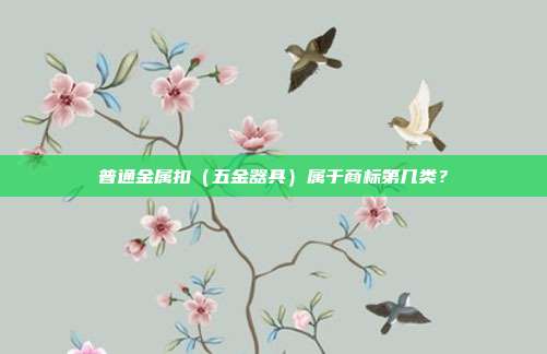 普通金属扣(五金器具)属于商标第几类?