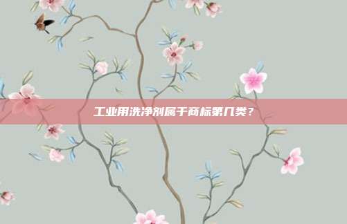 工业用洗净剂属于商标第几类?