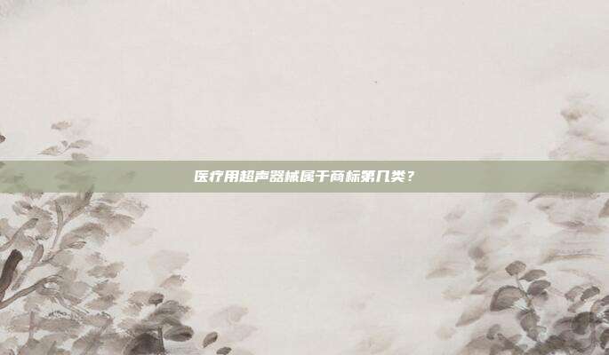 医疗用超声器械属于商标第几类?
