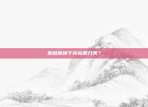擦鞋膏属于商标第几类？