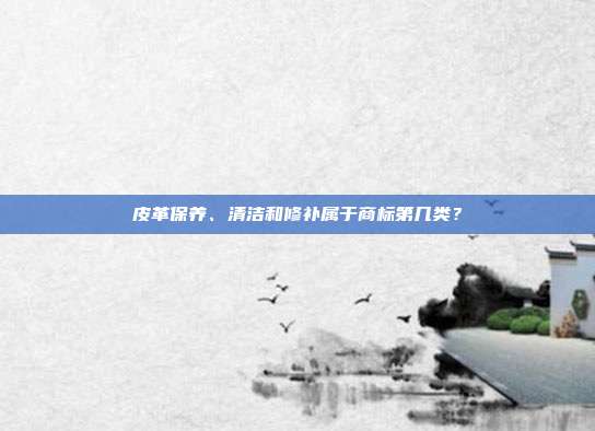 皮革保养、清洁和修补属于商标第几类？