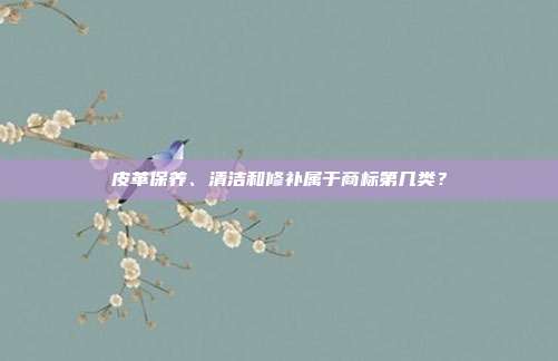 皮革保养、清洁和修补属于商标第几类？