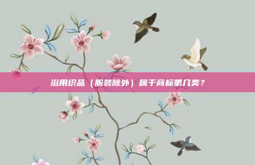 浴用织品（服装除外）属于商标第几类？