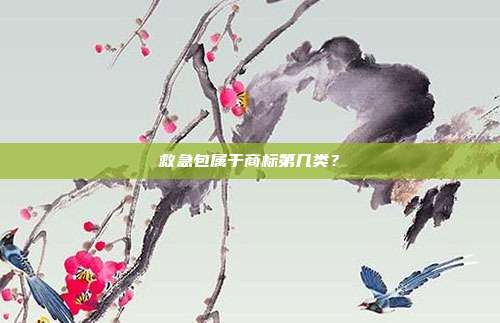 救急包属于商标第几类？