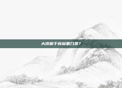 大饼属于商标第几类？