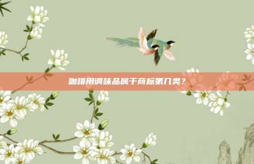咖啡用调味品属于商标第几类？