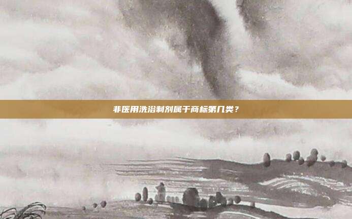 非医用洗浴制剂属于商标第几类？