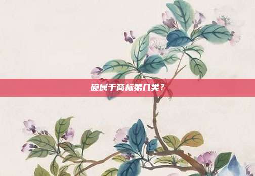 碗属于商标第几类？