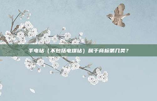 手电钻（不包括电煤钻）属于商标第几类？