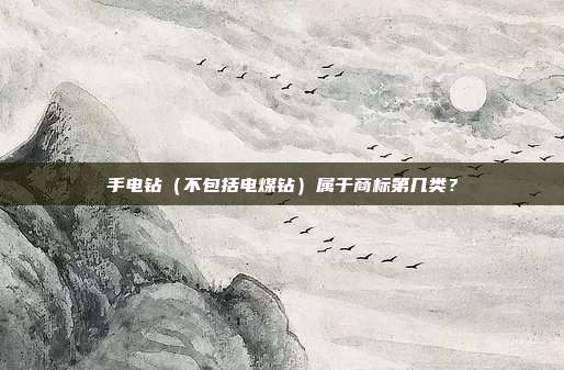 手电钻（不包括电煤钻）属于商标第几类？