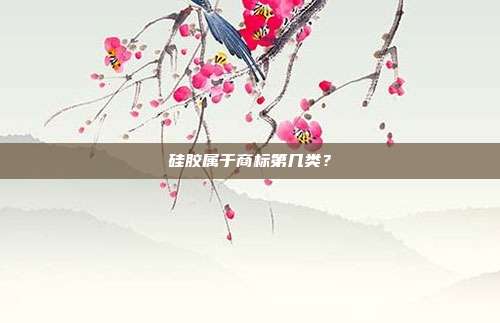 硅胶属于商标第几类？