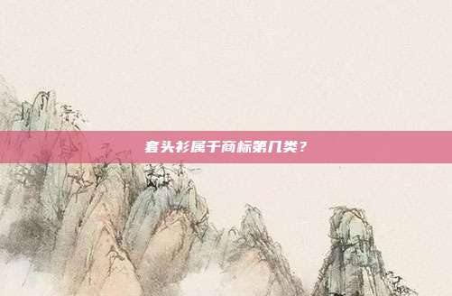 套头衫属于商标第几类?