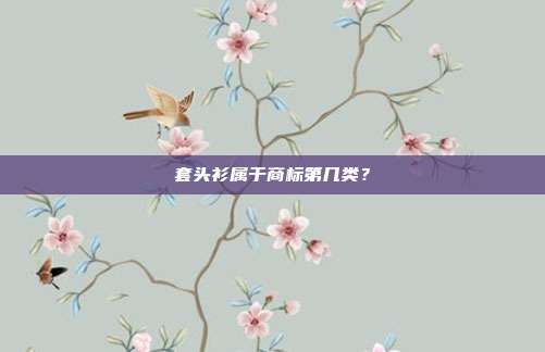 套头衫属于商标第几类?