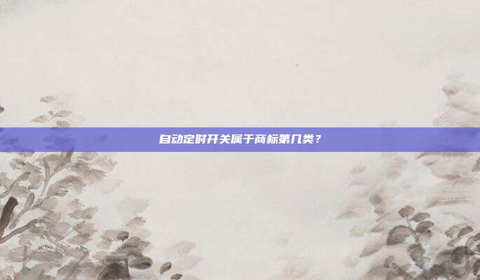 自动定时开关属于商标第几类?