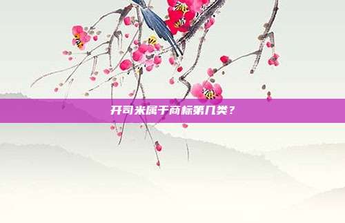 开司米属于商标第几类?