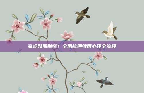 商标到期别慌!全面梳理续展办理全流程