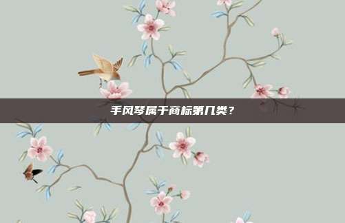 手风琴属于商标第几类?