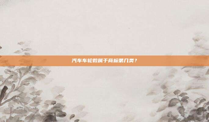 汽车车轮毂属于商标第几类？