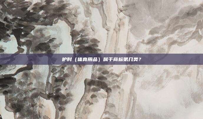 护肘（体育用品）属于商标第几类？