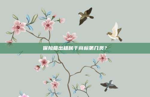 保险箱出租属于商标第几类？