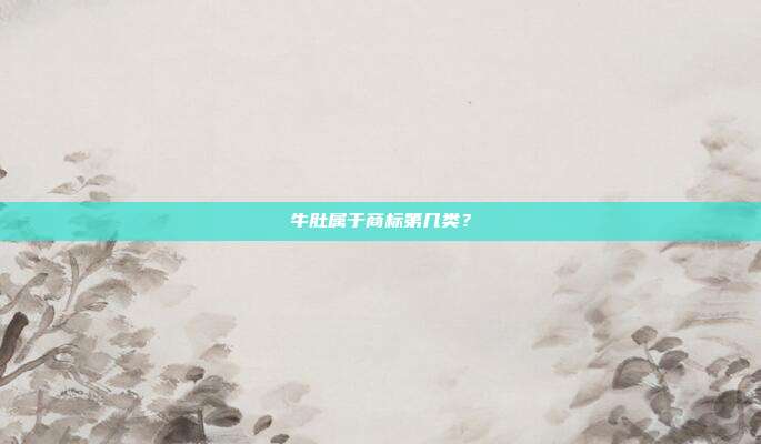 牛肚属于商标第几类？