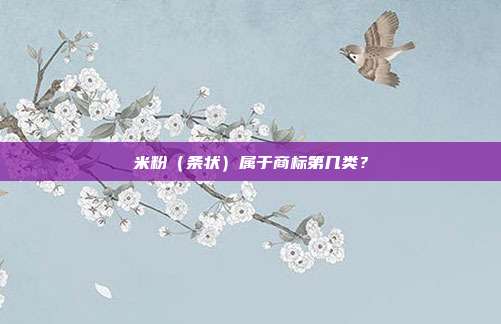米粉（条状）属于商标第几类？