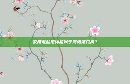 家用电动搅拌机属于商标第几类？