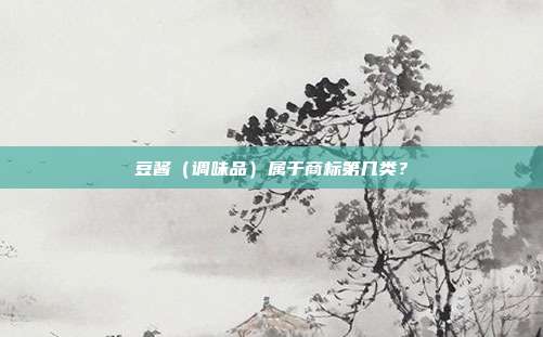 豆酱（调味品）属于商标第几类？
