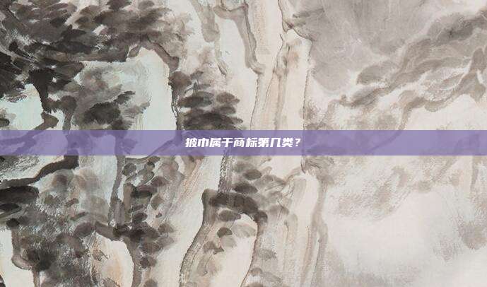 披巾属于商标第几类？