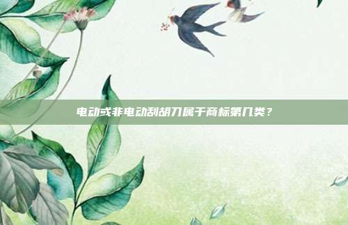 电动或非电动刮胡刀属于商标第几类?