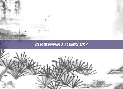 皮制家具罩属于商标第几类？