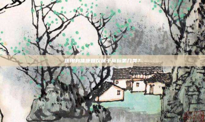 医用身体康复仪属于商标第几类？