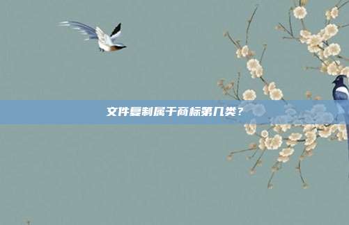 文件复制属于商标第几类?