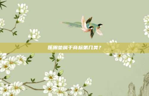 医用垫属于商标第几类?