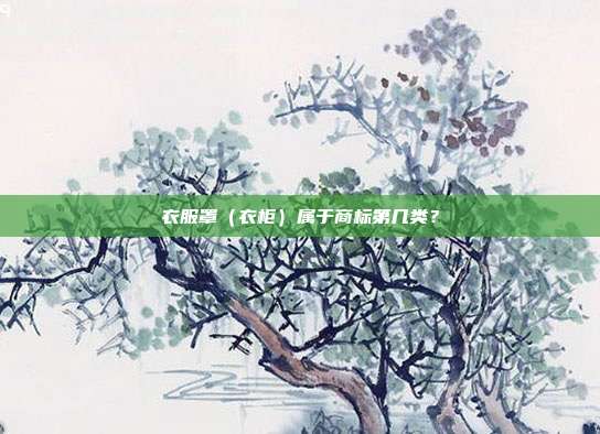衣服罩(衣柜)属于商标第几类?