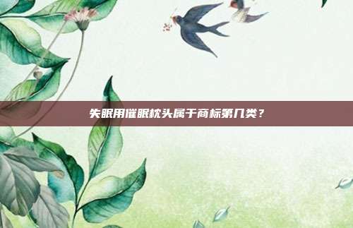 失眠用催眠枕头属于商标第几类?