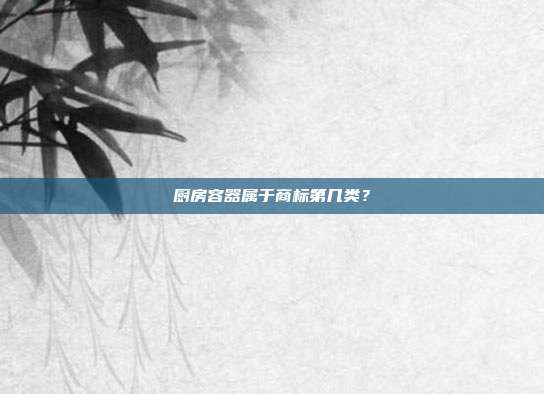 厨房容器属于商标第几类?