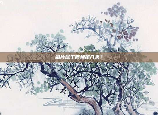 唱片属于商标第几类？