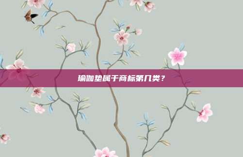瑜伽垫属于商标第几类？