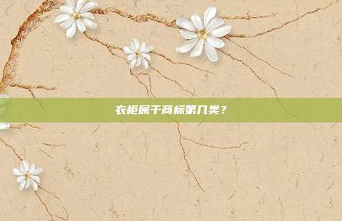 衣柜属于商标第几类？