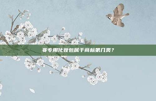 非专用化妆包属于商标第几类？