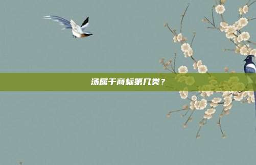 汤属于商标第几类？