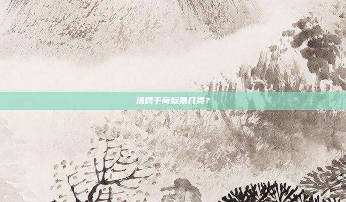 汤属于商标第几类？
