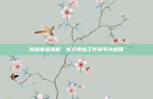 商标审查流程：官方审核工作环节大梳理