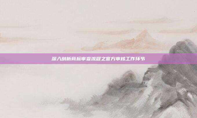 深入剖析商标审查流程之官方审核工作环节