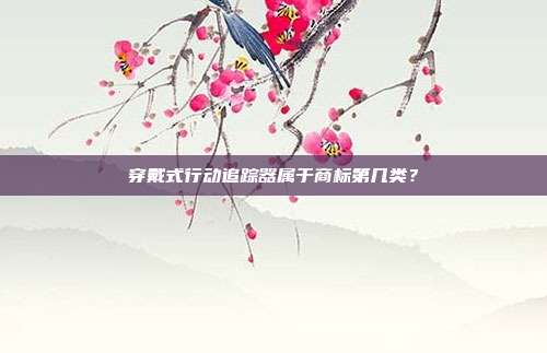 穿戴式行动追踪器属于商标第几类？