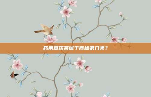 药用草药茶属于商标第几类？