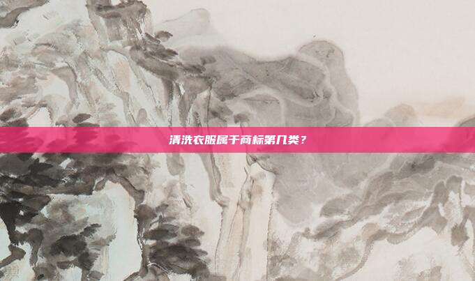 清洗衣服属于商标第几类？