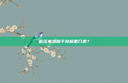 低压电源属于商标第几类？